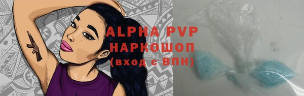 гидра Белокуриха