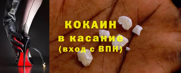 гидра Белокуриха