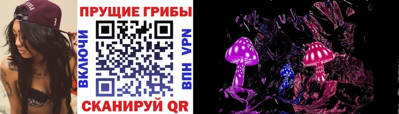 даркнет сайт  Минеральные Воды  mega сайт  Псилоцибиновые грибы мицелий 