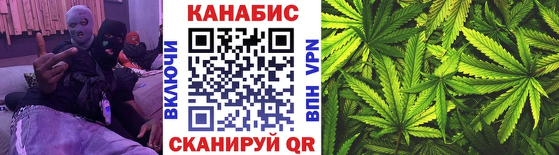 Шишки марихуана марихуана Минеральные Воды